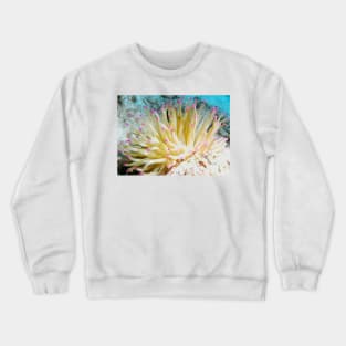 Pink Tipped Giant Sea Anemone Crewneck Sweatshirt